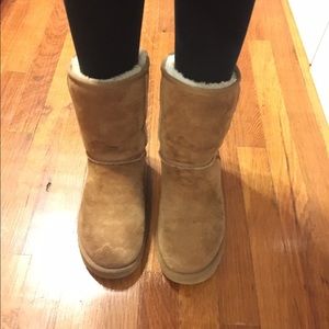 Chestnut Ugg Boots