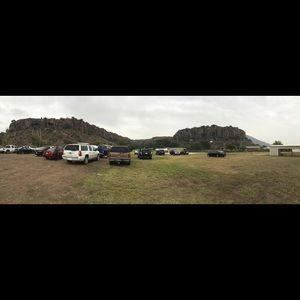 Meet your Posher, Rosie