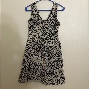 Chetah or leopard print dress!