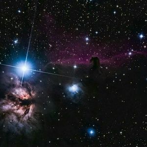 Meet your Posher, Carly