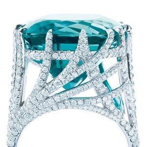 Meet your Posher, Shahi