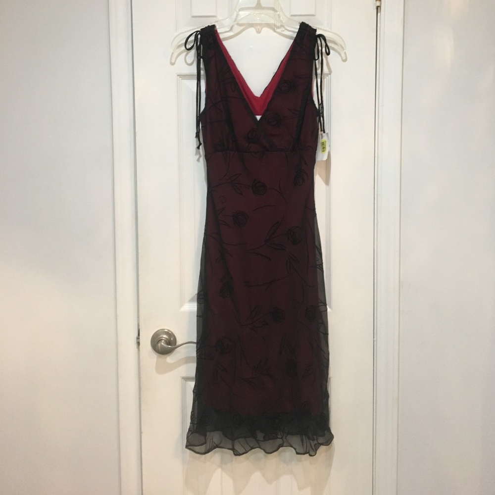 Maroon Sheer dress
