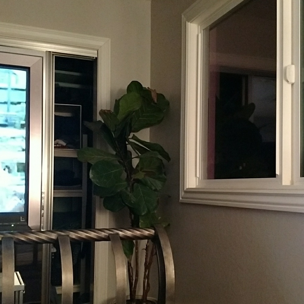 Meet your Posher, Sonia