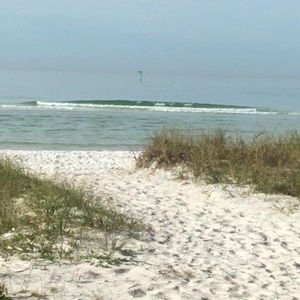 Meet your Posher, Elaine