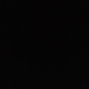 Meet your Posher, Ava