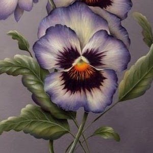 Meet your Posher, Measmom