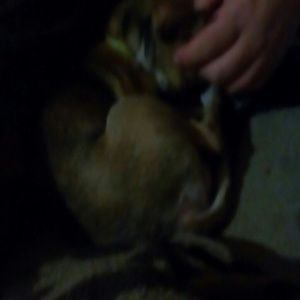 Meet your Posher, Kris