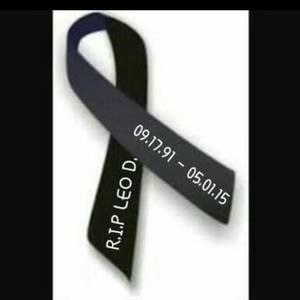 Meet your Posher, Rosa