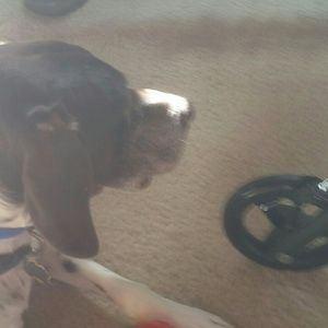 Meet your Posher, Deborah