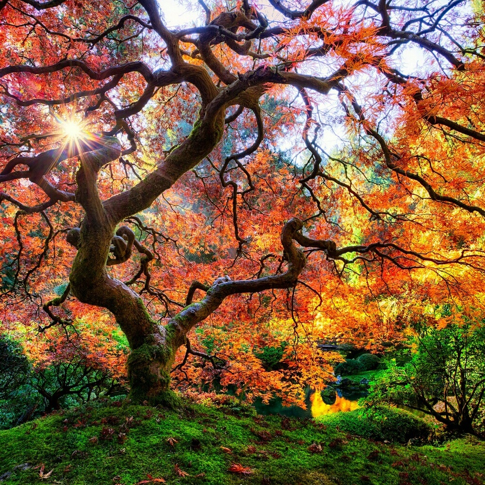 Meet your Posher, Stephen