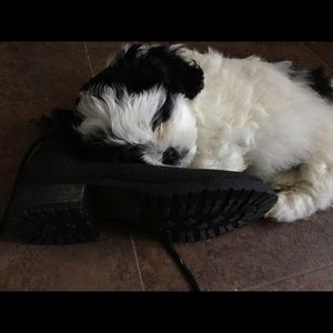 Meet your Posher, Vanessa