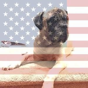 Meet your Posher, Elisa