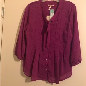 Skies are blue sheer blouse