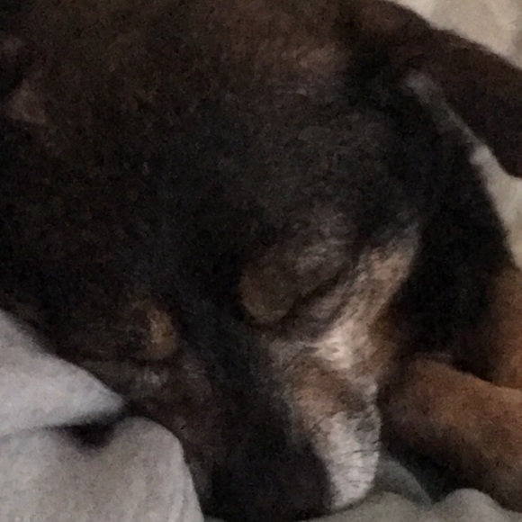 Meet your Posher, Janilka - Picture 1 of 1