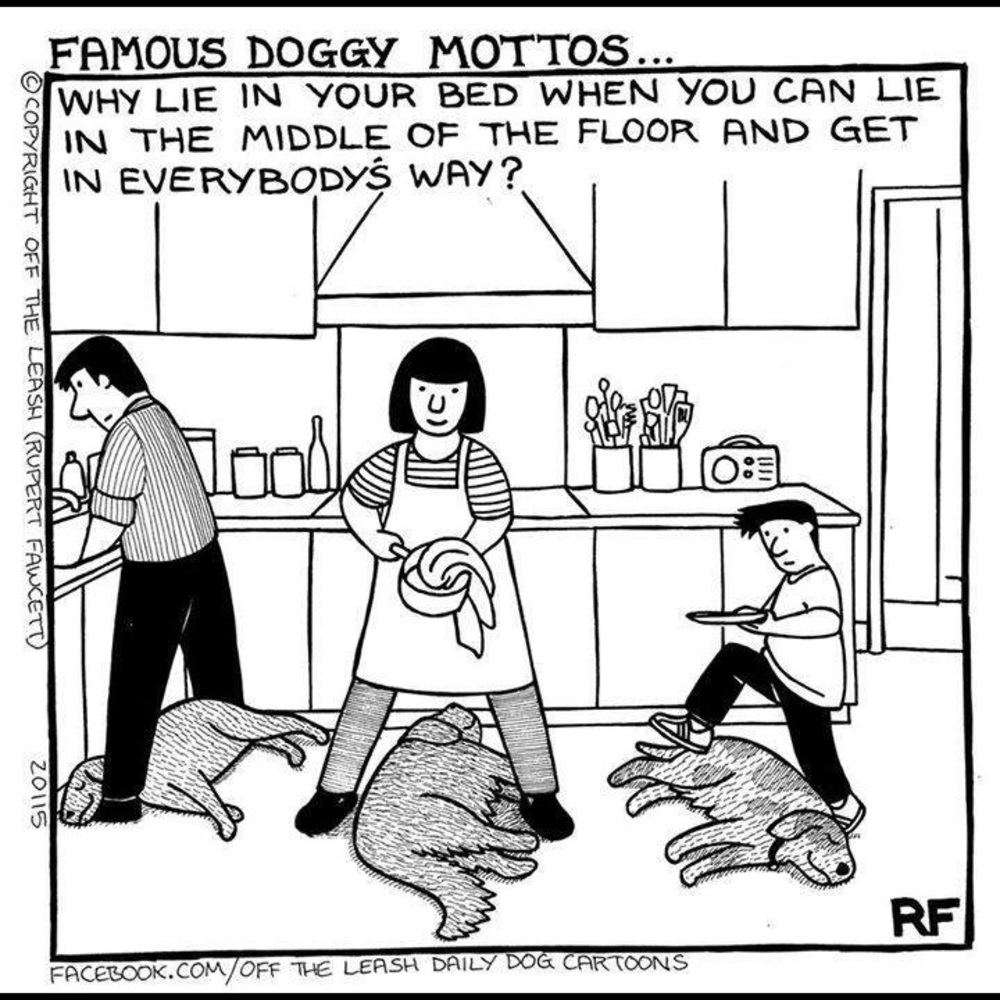 This sums it up  about right.