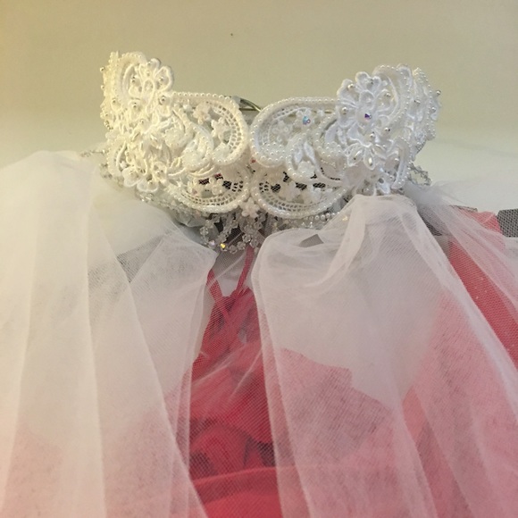 Wedding Crown beaded veil main image 2