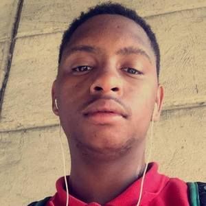 Meet your Posher, Donald