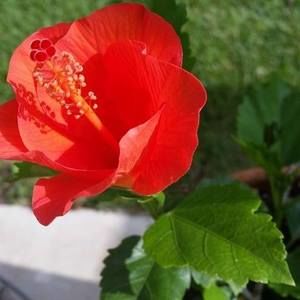 Meet your Posher, Avril