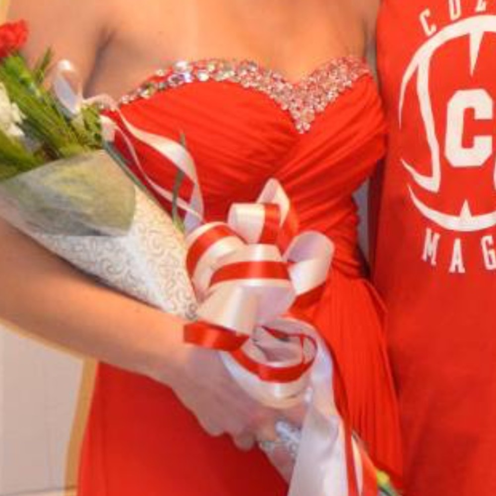 Prom/Homecoming Dress - Picture 1 of 4