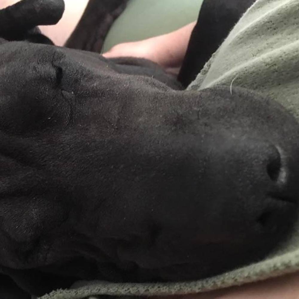 Meet your Posher, Cathy