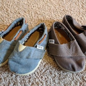 Baby toms