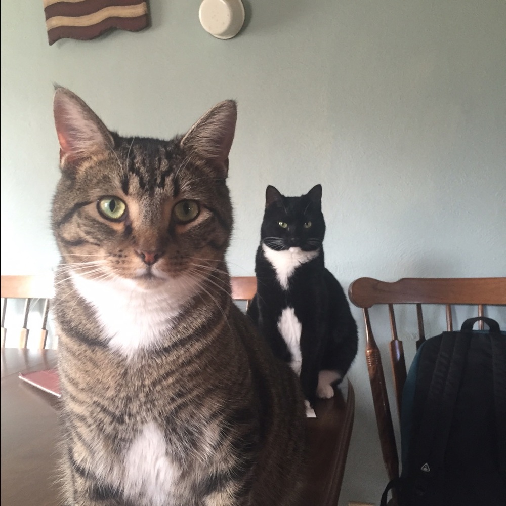 Meet your Posher, Jennifer