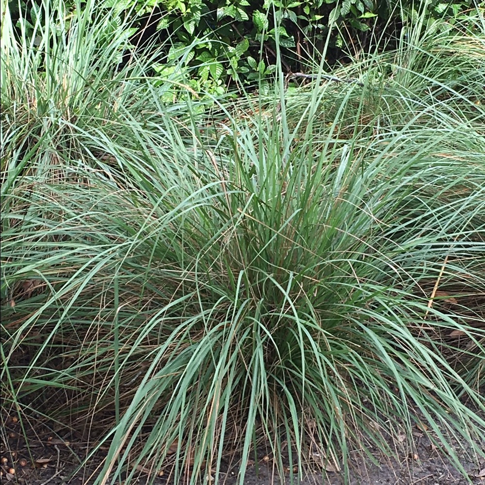 Meet your Posher, Kristin