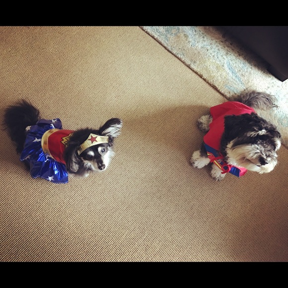 Hello From A Shop-A-Holic Who Can't Get Enough! - Picture 6 of 6