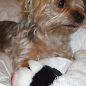 Meet your Posher, Andreea