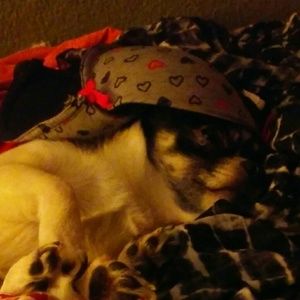 Meet your Posher, Britt