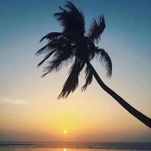 Meet your Posher, Harsh