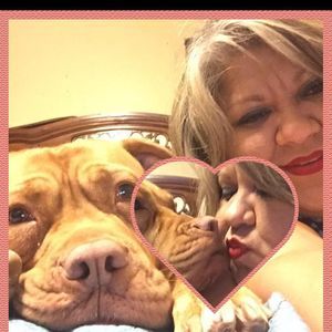 Meet your Posher, Liz