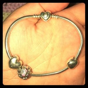 Pandora Charm Bracelet
