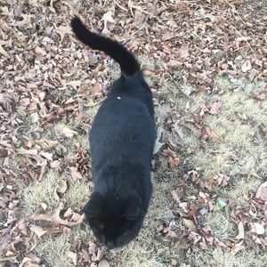 Meet your Posher, Issy