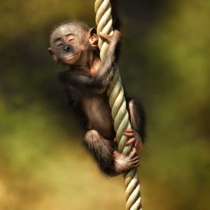 Meet your Posher, Anne