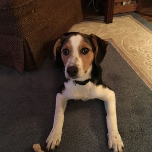 Meet your Posher, Clare