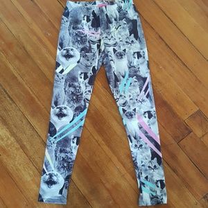 CATS WITH LASERS COMING OUT THEIR EYES