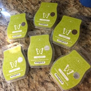 Scentsy Casting spells 6 wax bars bundle