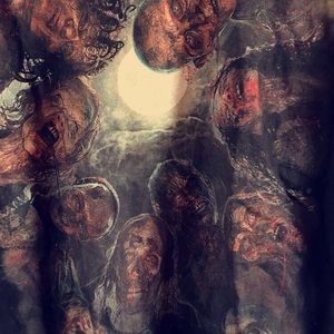 Walking dead tee shirt NEVER WORN