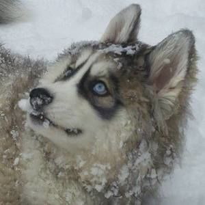 Meet your Posher, Rhonda