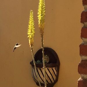 Meet your Posher, Claudia