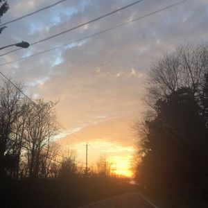 Meet your Posher, Liz