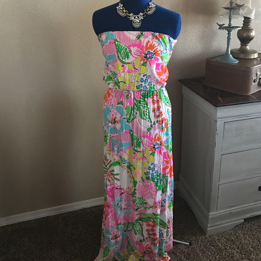 Small Nosie Posey Lilly Pulitzer Maxi