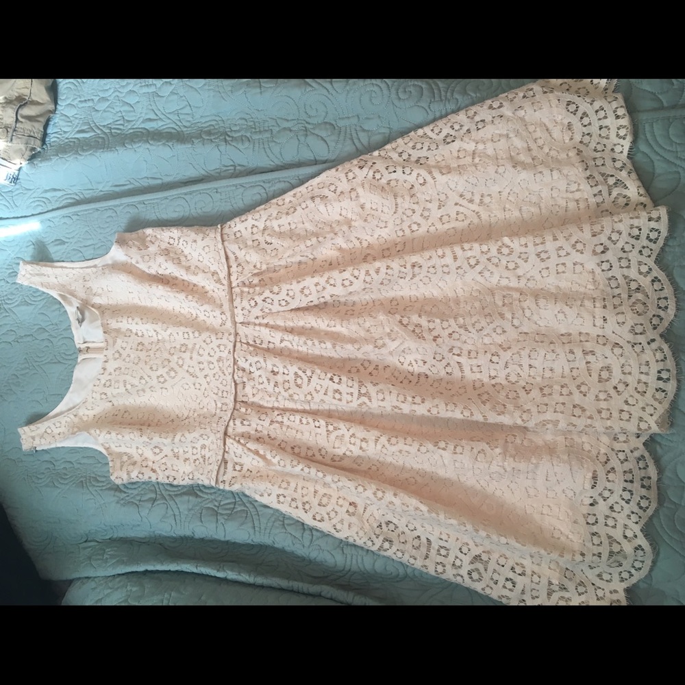 Jcrew Bridesmaid dress 8