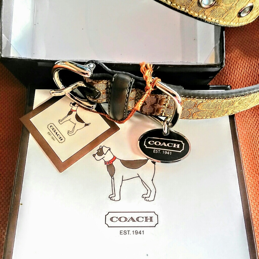Coach XL dog collar