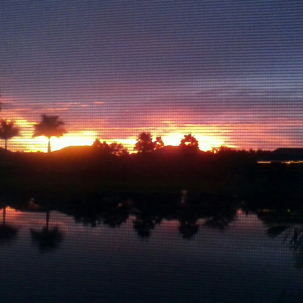 Meet your Posher, Donna