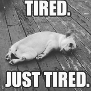 Meet your Posher, Chere