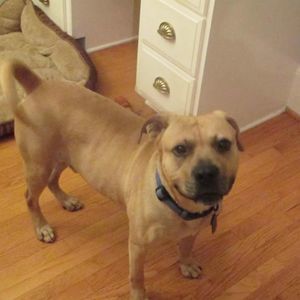 Meet your Posher, Susan