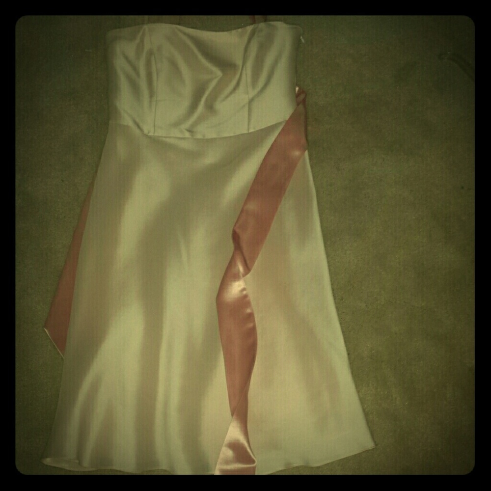 Ann Taylor pale pink silk dress