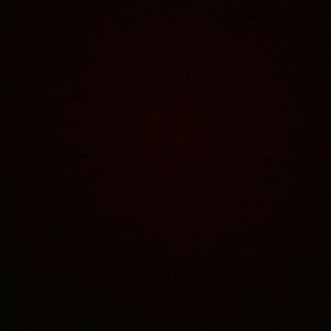 Meet your Posher, Bryan